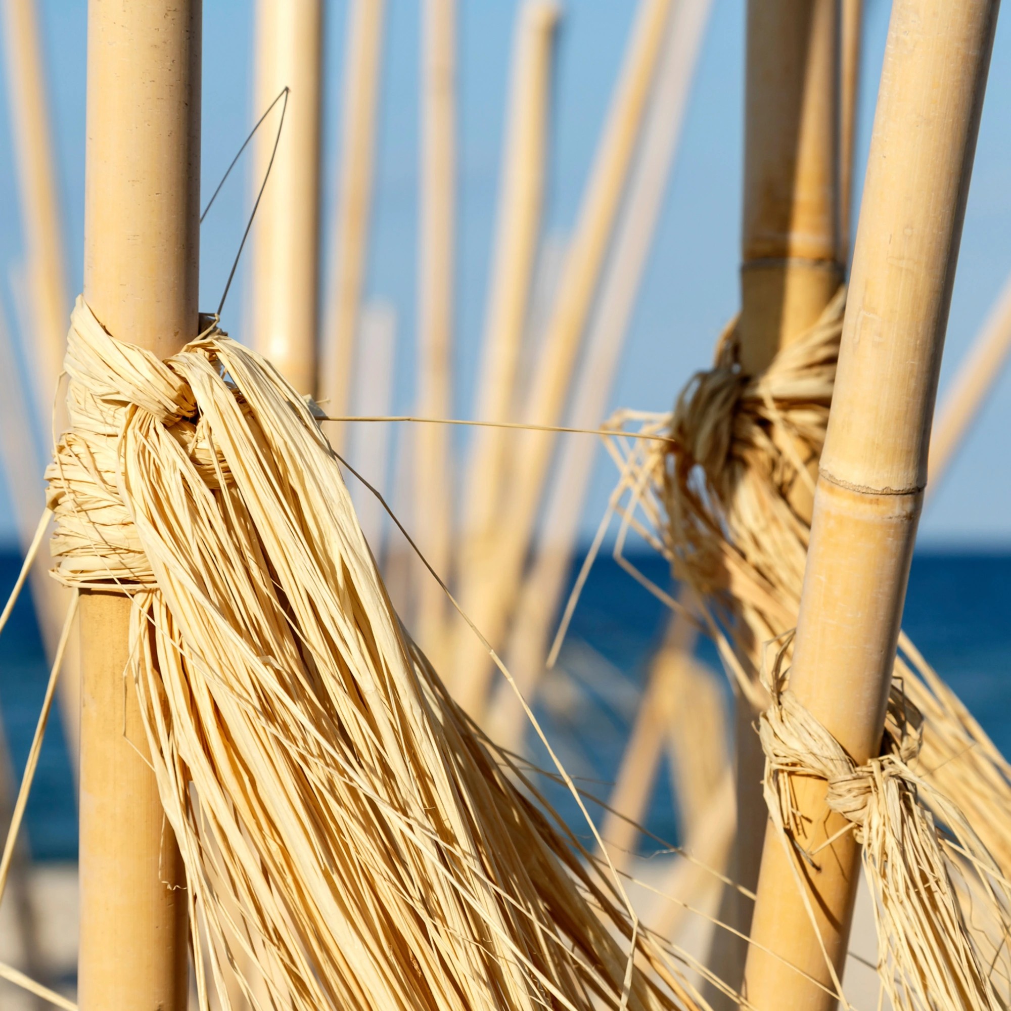 Καλάμι Bamboo Ø6-8 x 400εκ. - Image 2
