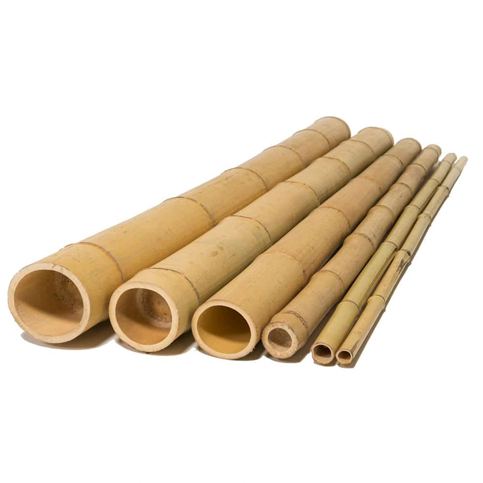 Καλάμι Bamboo Ø3-3,5 x 300εκ.